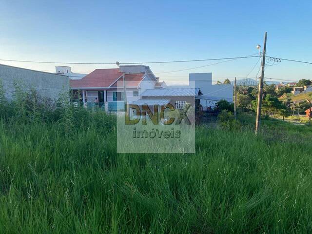Terreno para Venda em Governador Celso Ramos - 4