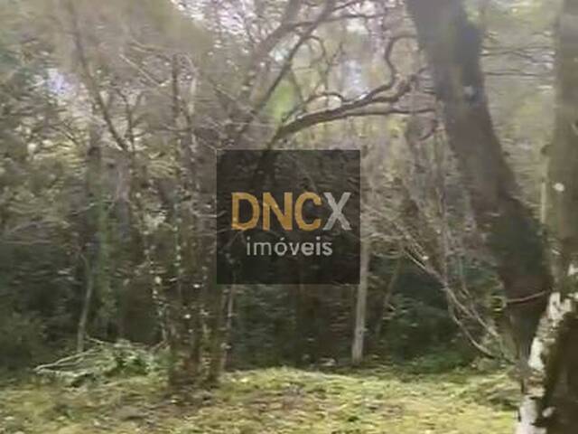 Terreno para Venda em Governador Celso Ramos - 5